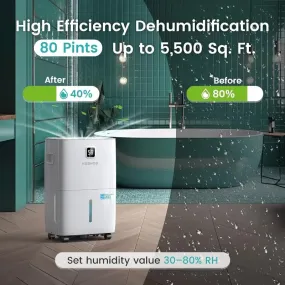 80 Pints Most Efficient Energy Star Dehumidifier with Front LCD Display for Home, Large Room - 5,500 Sq. Ft.